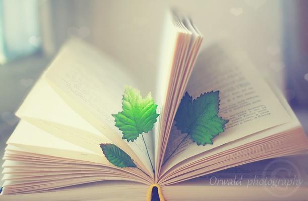 喇叭厂家,耳机喇叭生产厂家,低音喇叭