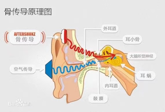 骨 传 导 耳 机 与 普 通 耳 机 的  区 别