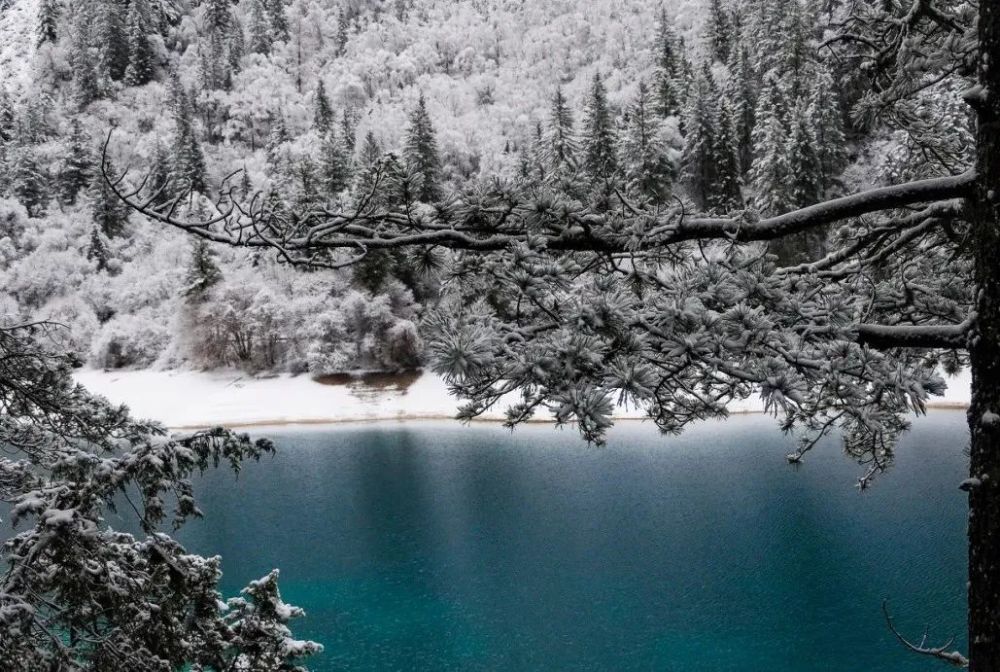 九寨沟雪景.jpg