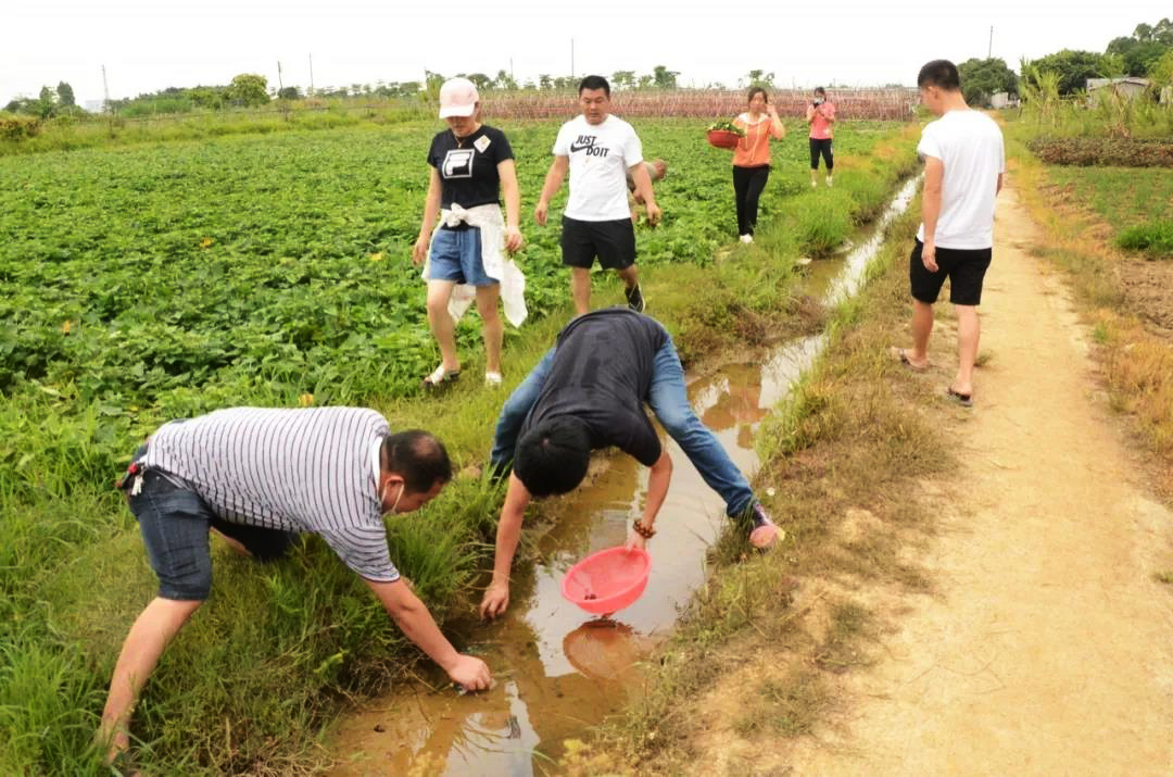 铭森农家乐欢乐之旅.jpg